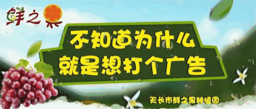 手机无缘无故自己乱点怎么解决