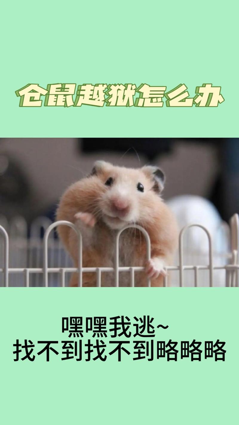 仓鼠的各种死法游戏截图