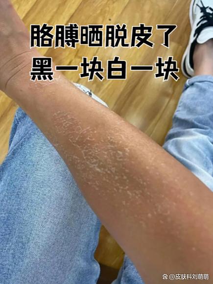 晒了么app介绍