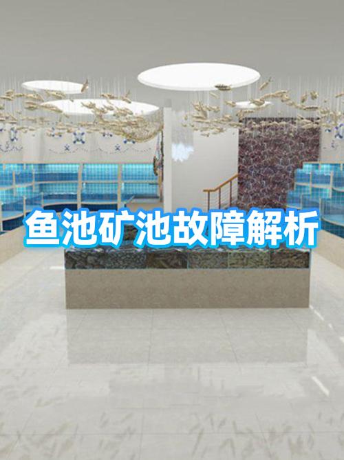 鱼池矿池的地址游戏截图