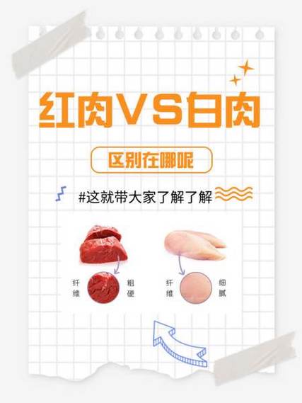 红肉白肉指的是什么游戏截图