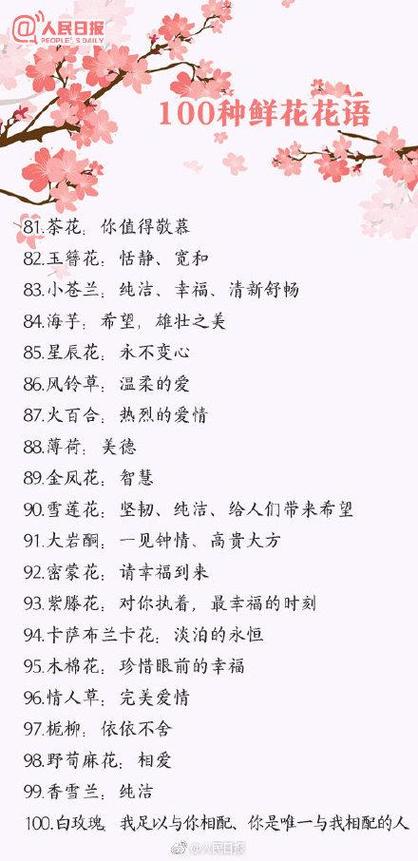 所有花的物语大全