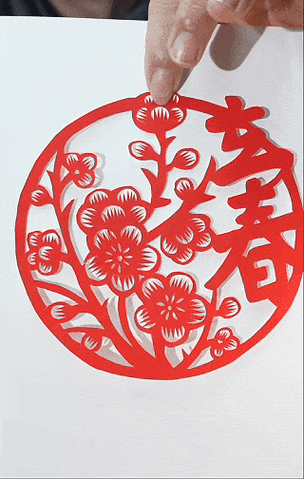 迎春花什么时候剪最合适
