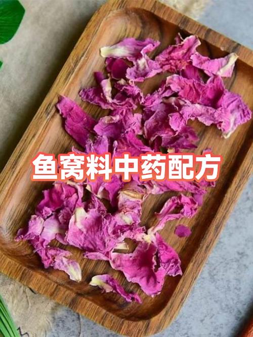 鱼窝料添加维生素B几
