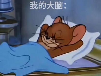大脑要睡了表情包原图图标