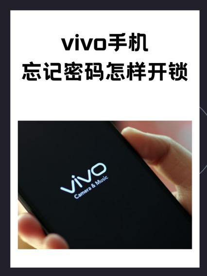 vivoy忘记密码了怎么解锁图标