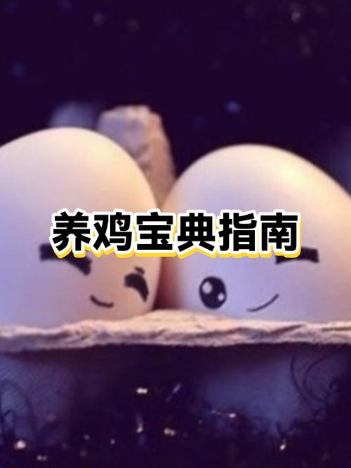 现在在农村养鸡有发展吗
