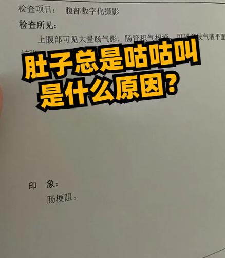 我肚子咕咕响怎么办图标