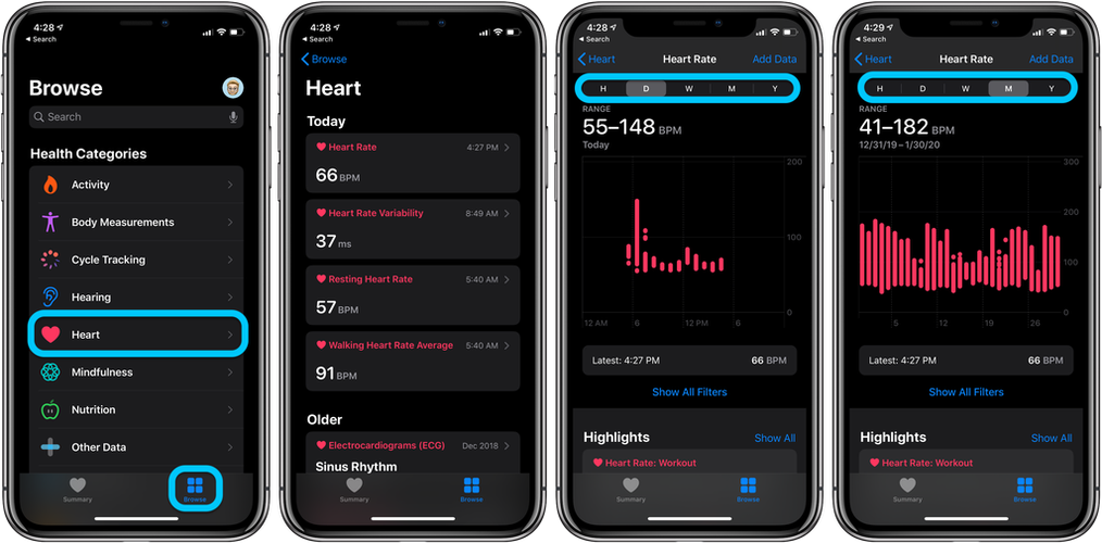 applewatch心率设置图标