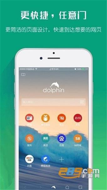 海豚浏览器国际版flash插件