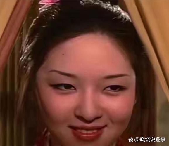 换脸软件软件软件介绍缩略图