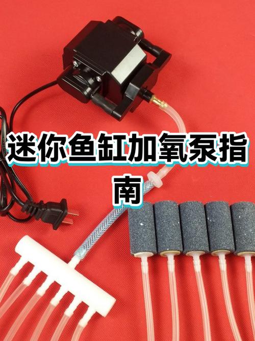 养鹦鹉鱼用打氧气吗