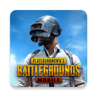 pubg国际服下载安装游戏截图