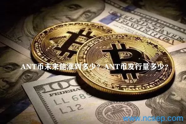 现场报道 Nem区块链首席执行官兼创始人：区块链让数字资产化更简单安卓最新版游戏截图