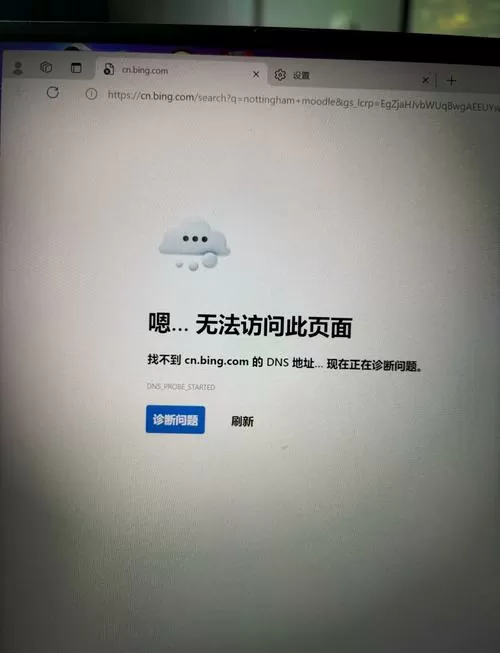 浏览器显示无法找到dns地址