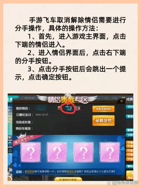 qq飞车怎么显示双人主页