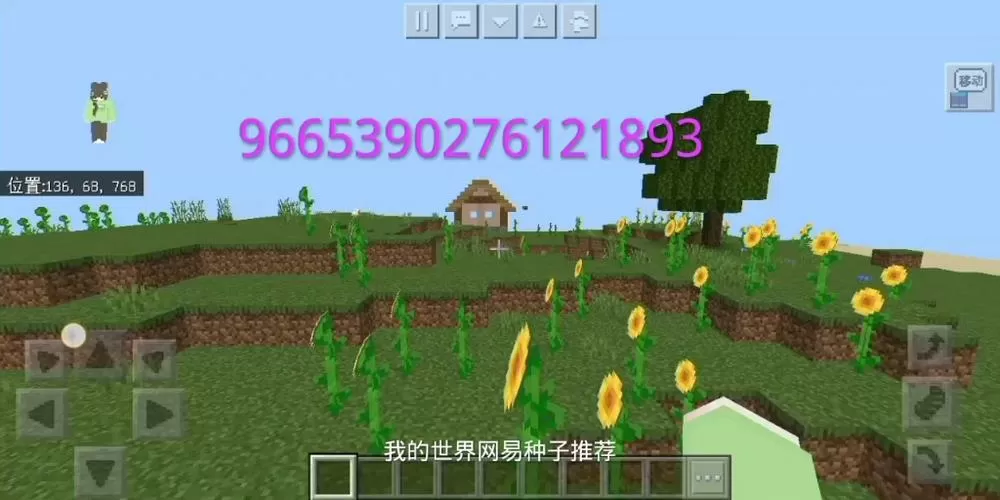我的世界网易版世界种子大全