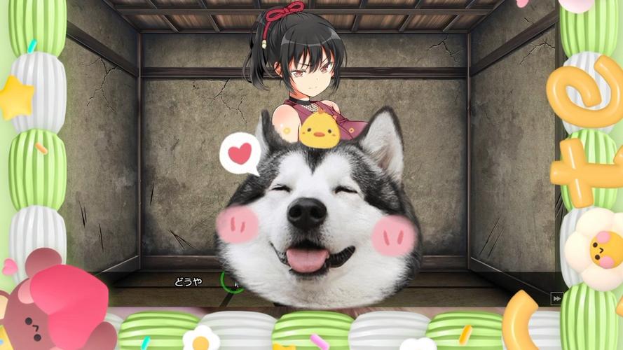 忍堕汉化版安卓版