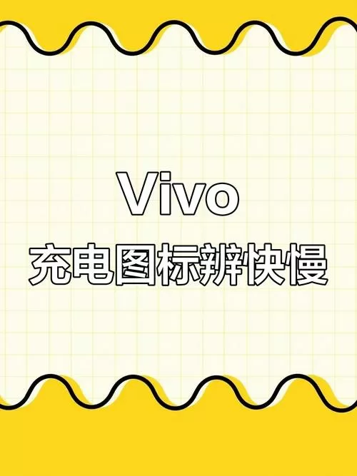 vivo怎么看是不是闪充