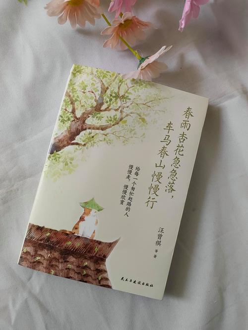 杏花免费小说永久