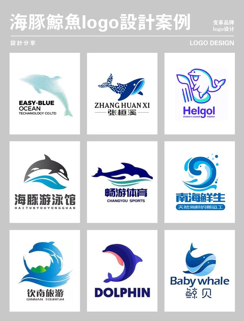 海豚网最新版