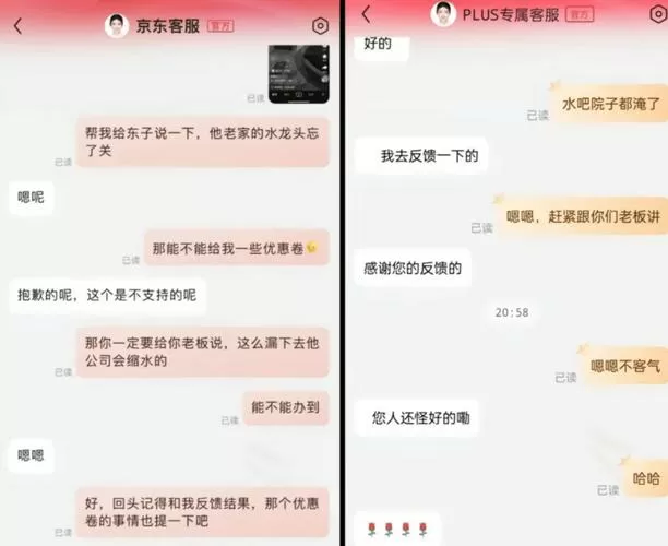 怎么查以前京东客服聊天记录